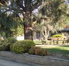 Hamilton Hume Motor Inn - Yass - Tourism Noosa