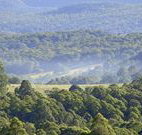 Nowendoc Country Motel - Nowendoc - Tourism Noosa