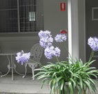 Pine Lodge Motel - Woolgoolga