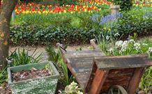 The Carrington Inn - Tourism Noosa 0