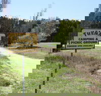 Tuena Camping and Picnic Ground - Tourism Noosa