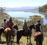 Reynella Homestead and Horseback Rides - Tourism Noosa