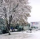 Maneroo Motel - Tourism Noosa