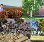 Southern Cross Motor Inn - Tourism Noosa