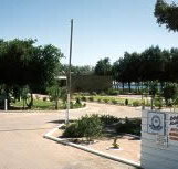 Shoreline Caravan Park - Tourism Noosa