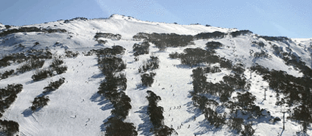 Thredbo Alpine Hotel - Tourism Noosa