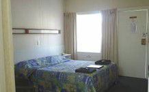 Tree Motel - Narooma - Tourism Noosa 1