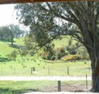 Hosanna Farm Retreat - Tourism Noosa