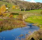 Ralda's Cottage - Tourism Noosa