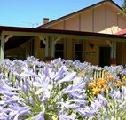Red Hill Organics Farmstay - Tourism Noosa