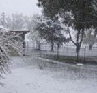 Tirrintippin - Tourism Noosa