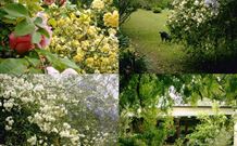 Chauvel Park B And B - Tourism Noosa 1