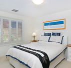 Pelican Paradise - - Tourism Noosa
