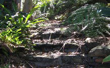 Studio Cottages - Tourism Noosa 5