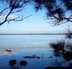 The Edgewater Bed and Breakfast - Tourism Noosa