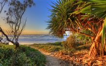 Andrea's Houses - Frangipani House - Tourism Noosa 4