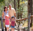 Elgetha Cottage - Tourism Noosa