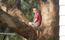Leslie Cottage - Tourism Noosa 7