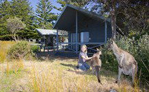 Norman Lindsay Cottage - Tourism Noosa 9