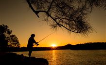 Oakbourne Cottage, Gingers Creek - Tourism Noosa 5