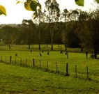 Stone Cottage Mittagong - Tourism Noosa