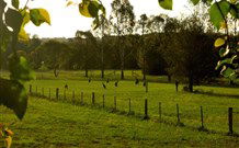 Stone Cottage Mittagong - Tourism Noosa 0
