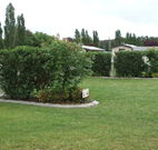Wheatfield Cottage - Tourism Noosa
