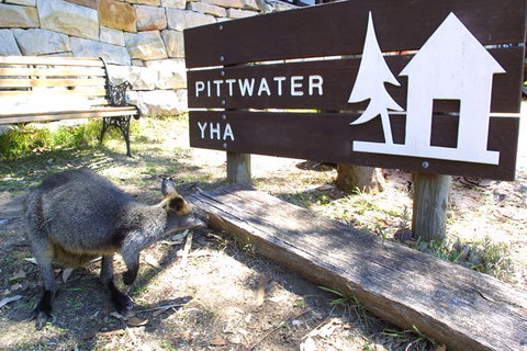 Sydney - Pittwater YHA - Tourism Noosa 9