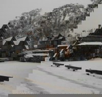 Habitat Chalet - Tourism Noosa