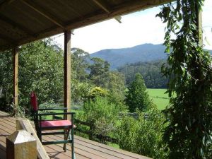 Fairview Farm Cottages - Tourism Noosa 6