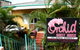 Orchid Guest House - thumb 0