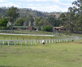 Kellarni Downs Farmstay-Scenic Rim - Tourism Noosa 0