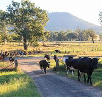 Tommerups Dairy Farmstay - Tourism Noosa