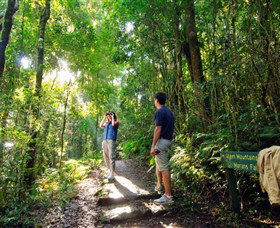 O'Reilly's Rainforest Retreat - Tourism Noosa 2