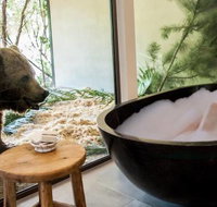 Jamala Wildlife Lodge - Tourism Noosa