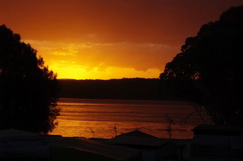 Ingenia Holidays Ocean Lake - Tourism Noosa 3