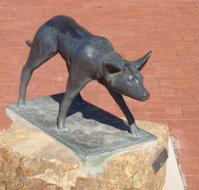 The Ardlethan Kelpie Caravan Park - Tourism Noosa