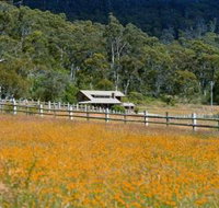 Pender Lea Alpine Guest Accommodation - Tourism Noosa