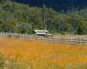 Pender Lea Alpine Guest Accommodation - Tourism Noosa 0