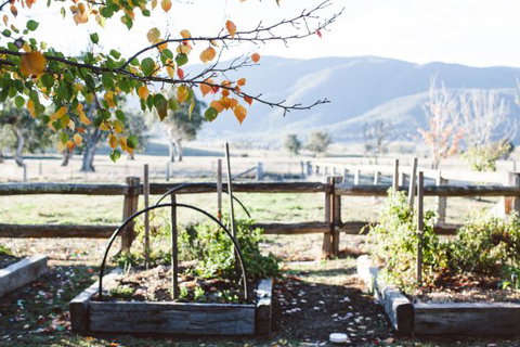 Alpine Edge Accommodation - Tourism Noosa 5