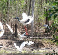 Rakhi Retreat - Tourism Noosa