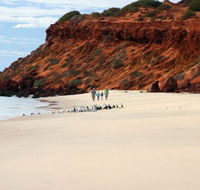 Herald Bight Camp at Francois Peron National Park - Tourism Noosa