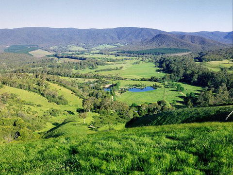 Kingbilli - Tourism Noosa 1