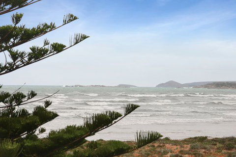 Willows - Tourism Noosa 9