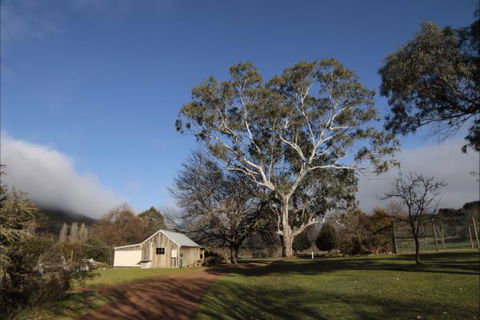 Jamieson Valley Retreat - Tourism Noosa 7