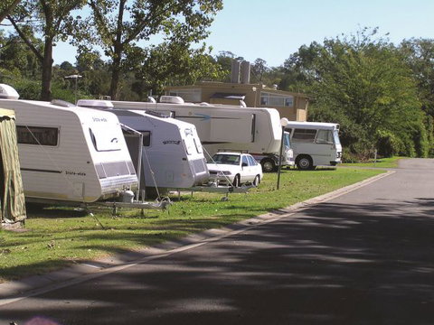 Poplar Tourist Park Camden - Tourism Noosa 2