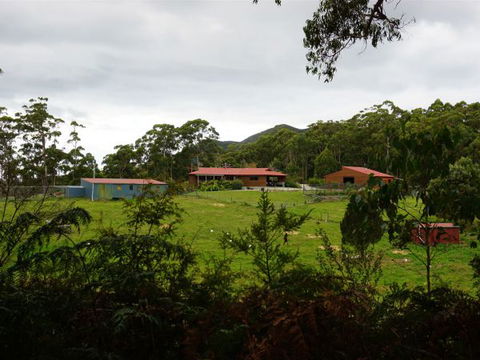 Eagle's Roost Farmstay B&B - Tourism Noosa 5