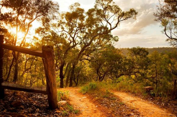 Blaxlands Ridge NSW Tourism Noosa