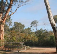Drummonds Camp at Avon Valley National Park - Tourism Noosa