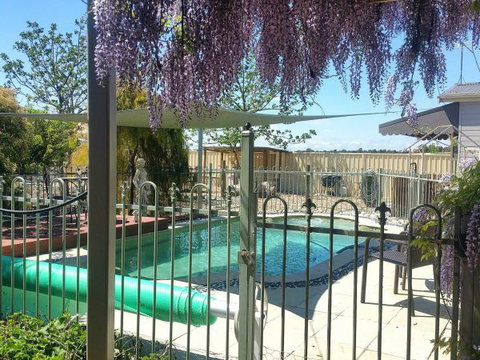 Must Love Dogs B&B And Self-Contained Cottage - Tourism Noosa 0